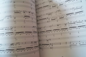 Herbert Grönemeyer - 4630 Bochum (neuere Ausgabe) Songbook Notenbuch Piano Vocal Guitar PVG
