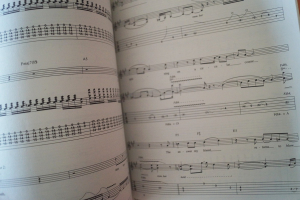 Extreme - Waiting for the Punchline Songbook Notenbuch Vocal Guitar