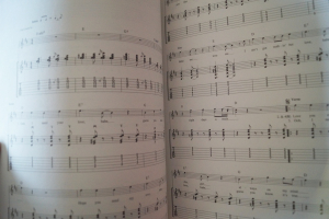 Beatles - Play Guitar with (mit 2 CDs) Songbook Notenbuch Vocal Guitar