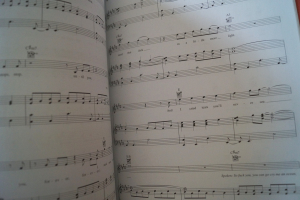 Fall Out Boy - Save Rock and Roll Songbook Notenbuch Piano Vocal Guitar PVG