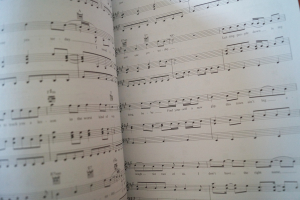 Fall Out Boy - Save Rock and Roll Songbook Notenbuch Piano Vocal Guitar PVG