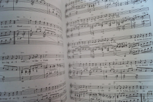 Duke Ellington - The Best of Songbook Notenbuch Piano Vocal Guitar PVG