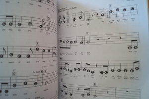 Willie Nelson - Best of Songbook Notenbuch Easy Piano Vocal