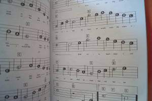 Willie Nelson - Best of Songbook Notenbuch Easy Piano Vocal
