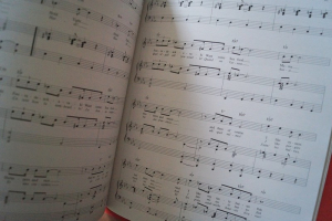 Jacques Higelin - Songbook Songbook Notenbuch Piano Vocal Guitar PVG