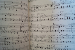 Max Raabe & Palastorchester - Die grossen Erfolge Songbook Notenbuch Piano Vocal Guitar PVG