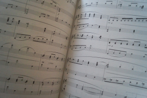 Rodgers & Hammerstein - At the Piano Songbook Notenbuch Piano