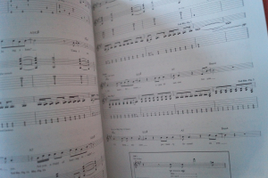 Blink 182 - Blink 182 Songbook Notenbuch Vocal Guitar