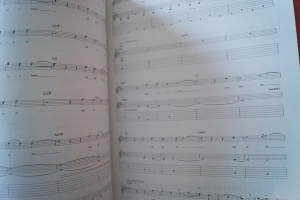 Blink 182 - Blink 182 Songbook Notenbuch Vocal Guitar