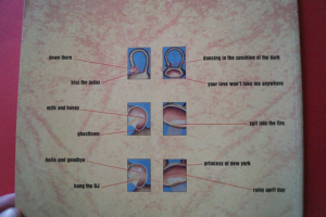 Fury in the Slaughterhouse - The Hearing and... (mit Autogrammen) Songbook Notenbuch Piano Vocal Guitar PVG