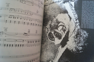 Wings - Wild Life Songbook Notenbuch Piano Vocal Guitar PVG