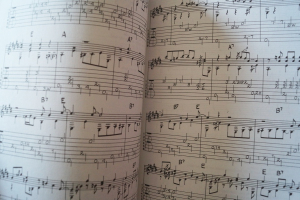 Blind Boy Fuller - Early Masters of American Blues Guitar (mit CD) Songbook Notenbuch Vocal Guitar