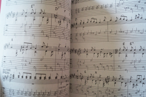 Blind Boy Fuller - Early Masters of American Blues Guitar (mit CD) Songbook Notenbuch Vocal Guitar