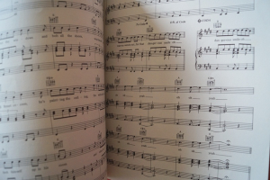 Boomtown Rats - 12 Songs Songbook Notenbuch Piano Vocal Guitar PVG