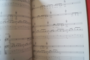 Bruce Springsteen - Wrecking Ball Songbook Notenbuch Vocal Guitar