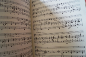 Eddie Cochran / Buddy Holly - 11 Songs Songbook Notenbuch Piano Vocal Guitar PVG