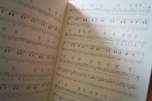 Bénabar - 25 Titres Songbook Notenbuch Piano Vocal Guitar PVG