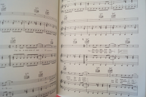 Ted Nugent - The Best of Songbook Notenbuch Piano Vocal Guitar PVG