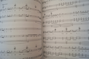 Weeknd - Beauty behind the Madness Songbook Notenbuch Piano Vocal Guitar PVG