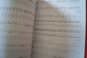 Shinedown - Amaryllis Songbook Notenbuch Vocal Guitar