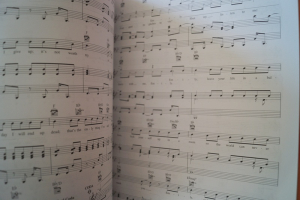 Mika - The Origin of Love Songbook Notenbuch Piano Vocal Guitar PVG