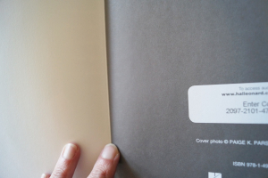 Steve Vai - Guitar Play along (mit Audiocode) Songbook Notenbuch Guitar