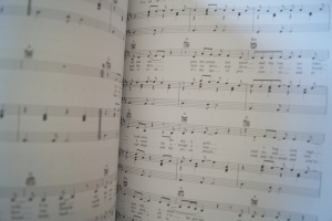 Taylor Swift - Fearless (neuere Ausgabe) Songbook Notenbuch Piano Vocal Guitar PVG