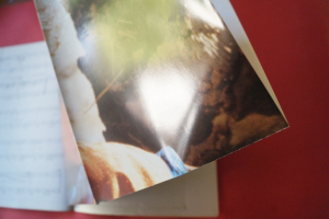 Robert Plant - Now and Zen (mit Poster) Songbook Notenbuch Piano Vocal