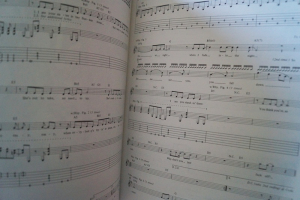 Guns n Roses - Appetite for Destruction Songbook Notenbuch Vocal Easy Guitar