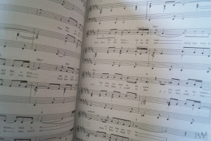 Barbra Streisand - Higher Ground Songbook Notenbuch Piano Vocal Guitar PVG