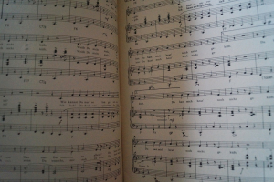 Roy Black - Seith´s Hitparade Songbook Notenbuch Piano Vocal Guitar PVG