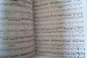 Fred Raymond - Komponistenportrait Songbook Notenbuch Piano Vocal