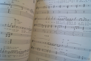 Who - Definitive Collection (S-Y) Songbook Notenbuch Vocal Guitar