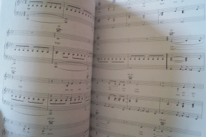 Christina Perri - Head or Heart Songbook Notenbuch Piano Vocal Guitar PVG