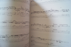 Stevie Ray Vaughan - Lightnin Blues 1983-1987 (2nd Edition) Songbook Notenbuch Vocal Guitar