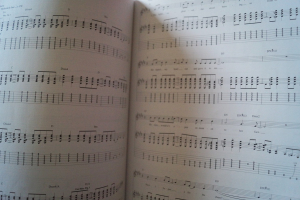 Dinosaur Jr. - Best of Songbook Notenbuch Vocal Guitar