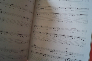 Blink 182 - Guitar Play along (mit CD) Songbook Notenbuch Vocal Guitar