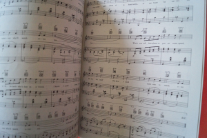 Ella Fitzgerald - A Tribute to Songbook Notenbuch Piano Vocal Guitar PVG