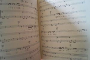 Alain Bashung - Bleu Pétrole Songbook Notenbuch Piano Vocal Guitar PVG