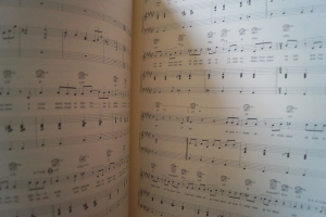 Gregoire - La meme Soleil Songbook Notenbuch Piano Vocal Guitar PVG