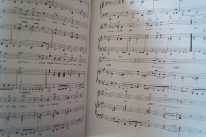 Doors - The Doors Songbook Notenbuch Piano Vocal Guitar PVG