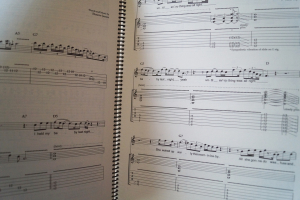 Elmore James - Vital Blues Guitar Songbook Notenbuch Vocal Guitar