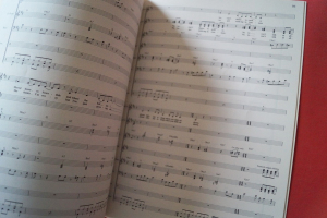 Steely Dan - The Best of Songbook Notenbuch für Bands (Transcribed Scores)