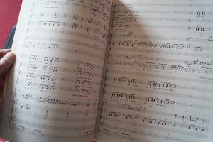 Steely Dan - The Best of Songbook Notenbuch für Bands (Transcribed Scores)