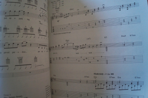 Joni Mitchell - Hits Songbook Notenbuch Vocal Guitar