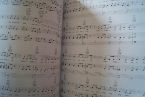 Gabrielle Aplin - English Rain Songbook Notenbuch Piano Vocal Guitar PVG