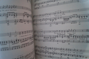 Beatles - Fantasy Songbook Notenbuch Piano Vocal Guitar PVG