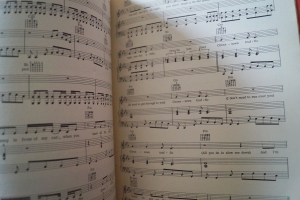 Jimi Hendrix - Electric Ladyland (alte Ausgabe) Songbook Notenbuch Piano Vocal Guitar PVG