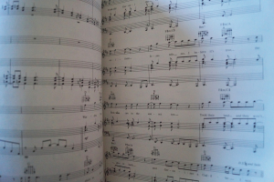 Michael Martin Murphey - The Best of Songbook Notenbuch Piano Vocal Guitar PVG