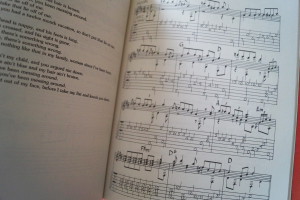 Lohnnie Johnson - Masters of Country Blues Guitar (mit CD) Songbook Notenbuch Vocal Guitar